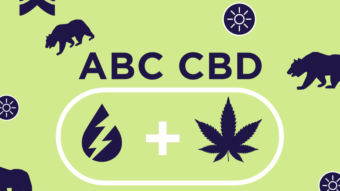Graphic title image for the CBD isolate vs Full Spectrum CBD blog post with graphic elements