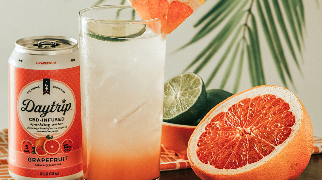 Daytrip CBD infused mocktail made with Daytrip CBD Infused sparkling water, on ice with fresh fruit on a stylish bar.