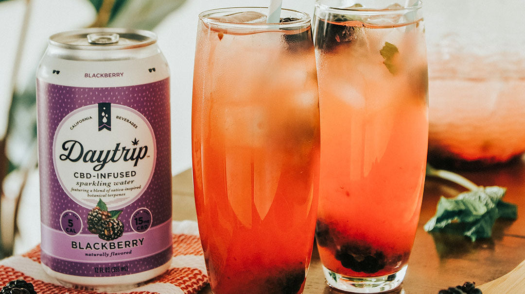 Daytrip CBD infused mocktail made with Daytrip CBD Infused sparkling water, on ice with fresh fruit on a stylish bar.