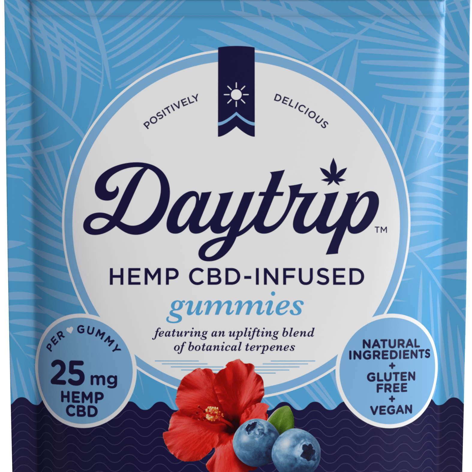 Packaging front render of Daytrip blueberry hibiscus CBD-infused gummies.