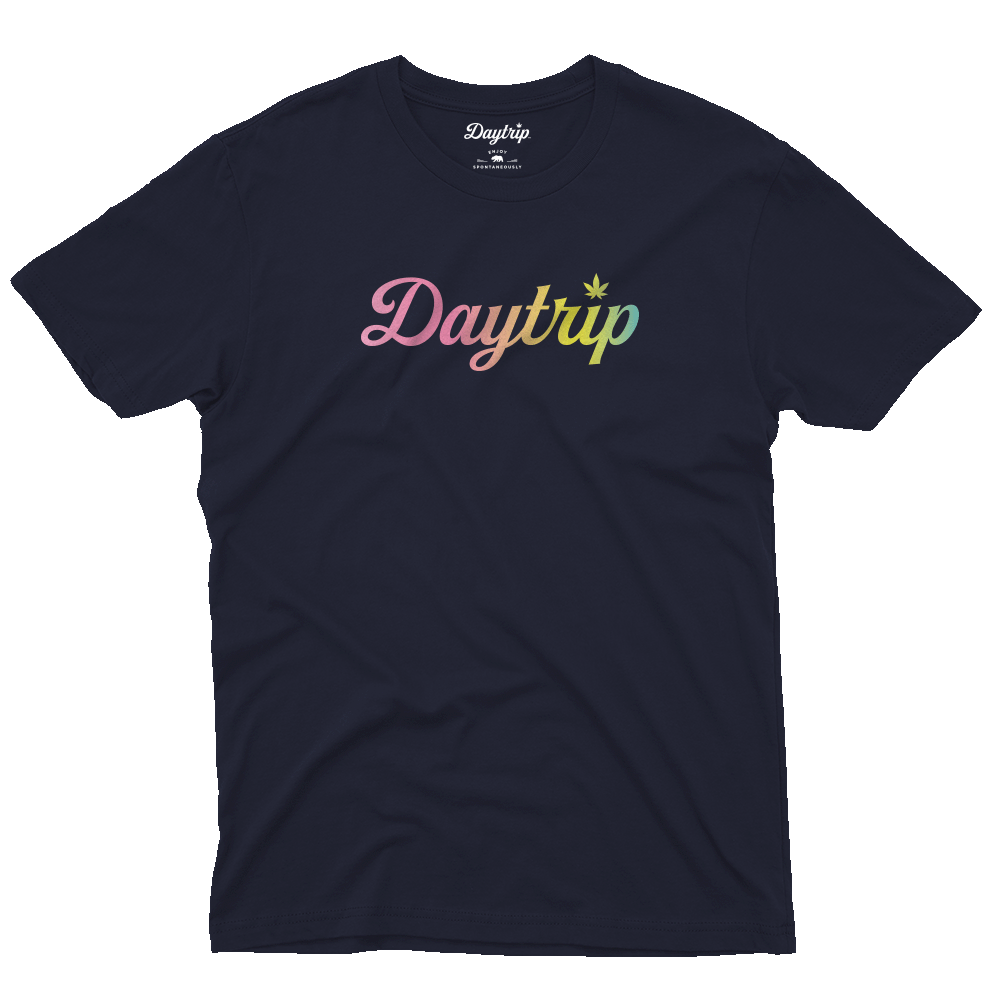 Daytrip Script Logo Tee in Navy with Swirl Ombre screenprint front