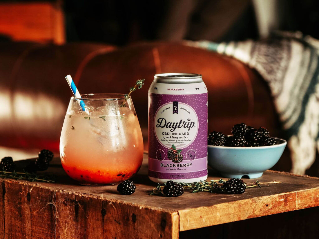Daytrip CBD infused mocktail made with Daytrip CBD Infused sparkling water, on ice with fresh fruit on a stylish bar.