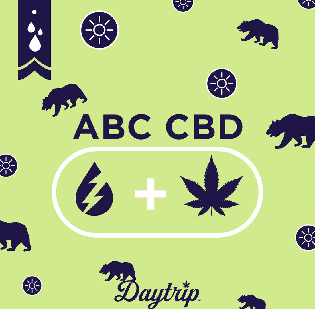 Graphic title image for the CBD isolate vs Full Spectrum CBD blog post with graphic elements