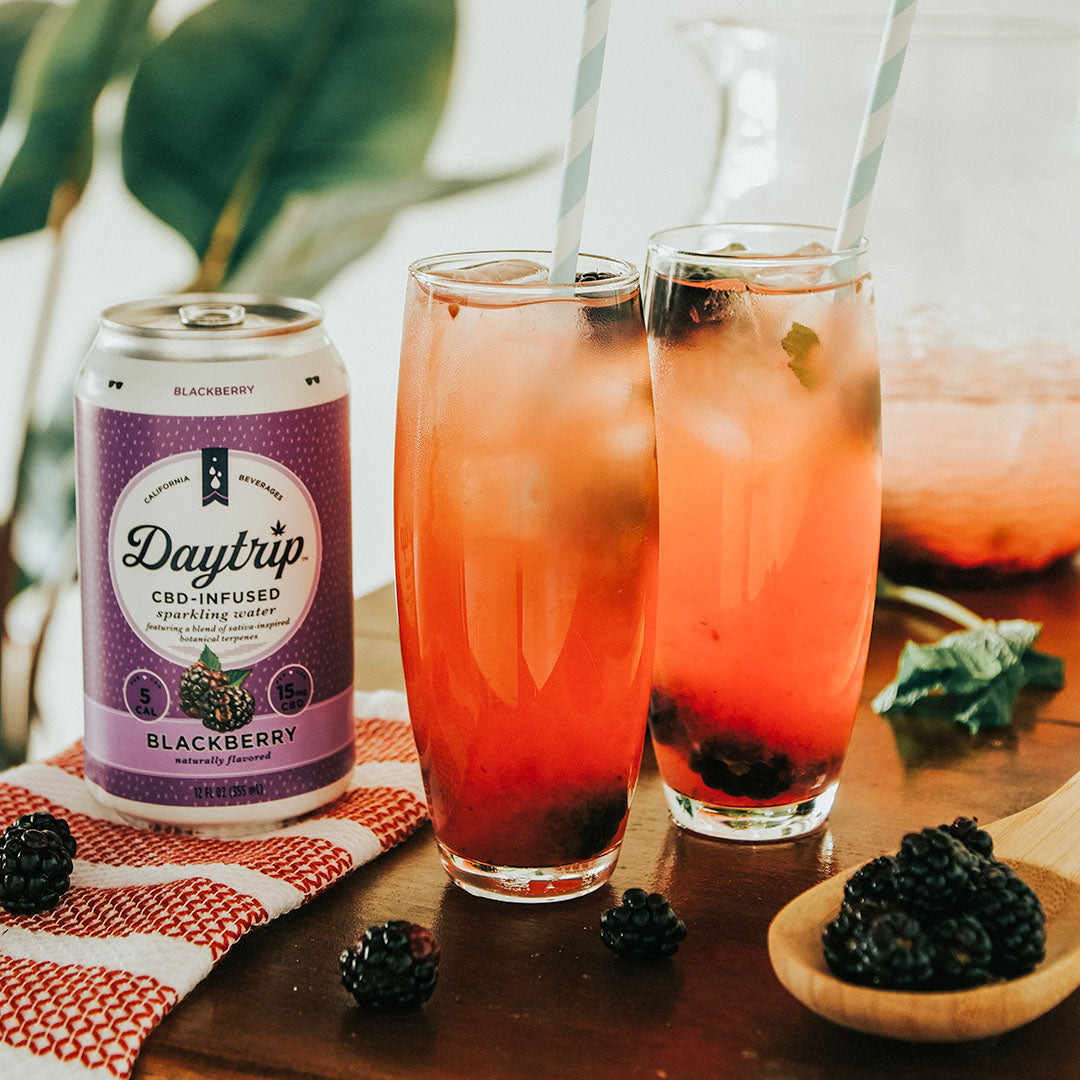 Daytrip CBD infused mocktail made with Daytrip CBD Infused sparkling water, on ice with fresh fruit on a stylish bar.