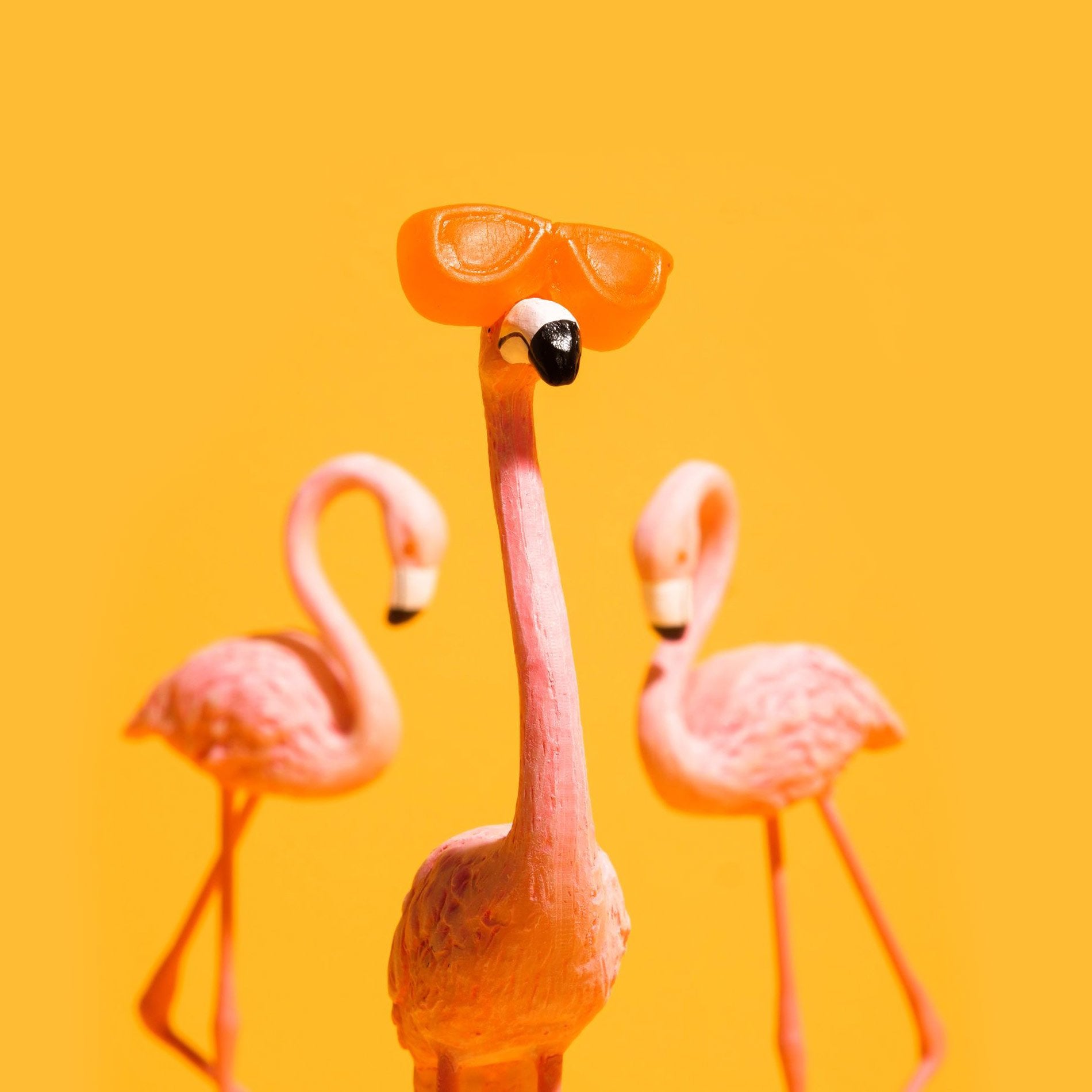 Daytrip CBD Infused Gummies with uplifting botanical terpenes and 25mg of clean CBD. Toy flamingo wearing the gummies as sunglasses.