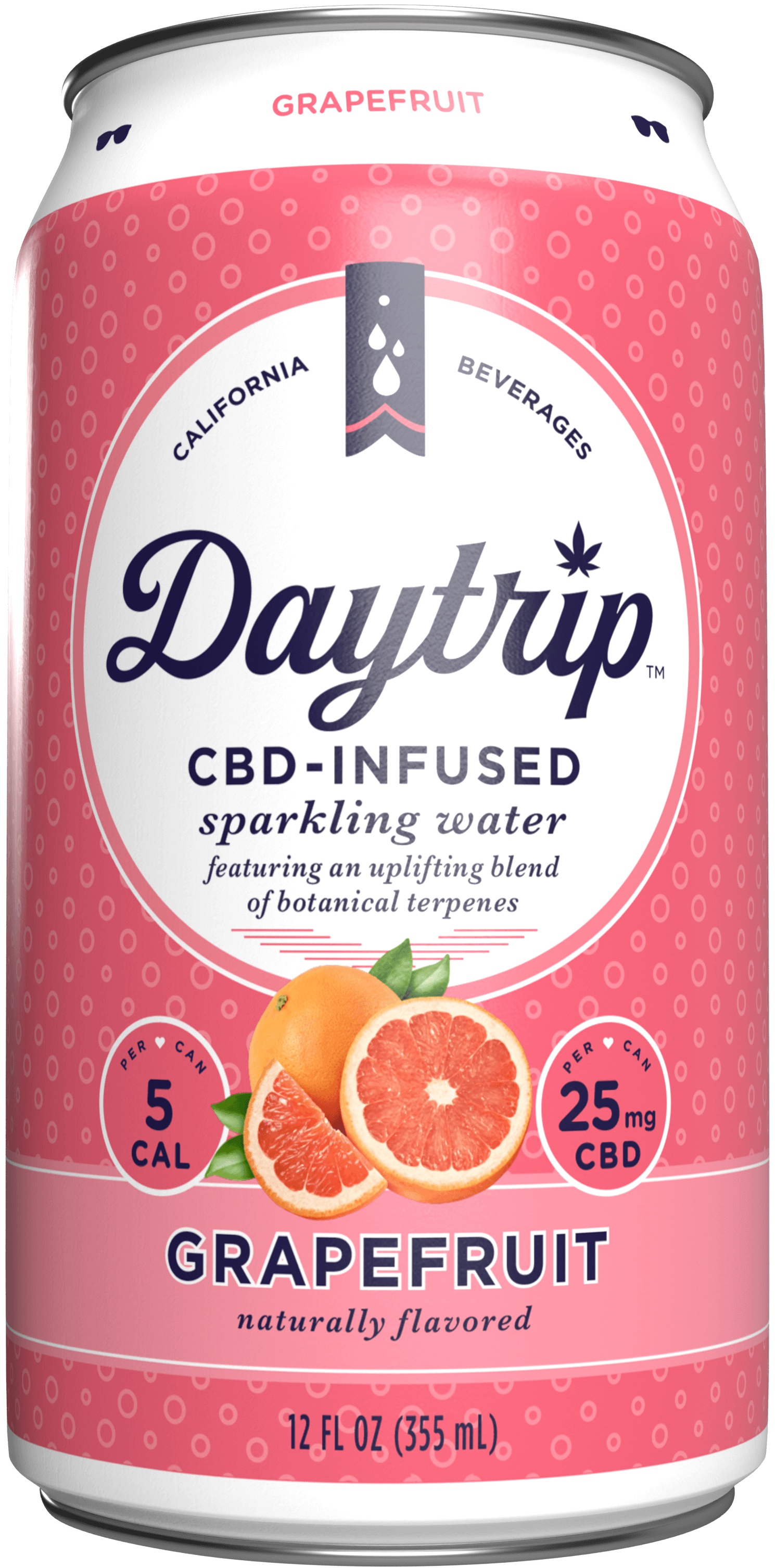 Can render of Daytrip Grapefruit sparkling water on a white background.