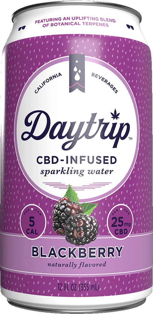 Can render of Daytrip Blackberry sparkling water on a white background.