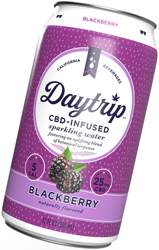 Front can render of Daytrip blackberry sparkling water.