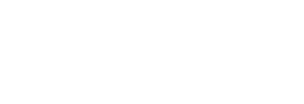  Script font Daytrip logo in navy blue on a white background. A leaf dots the i in Daytrip.