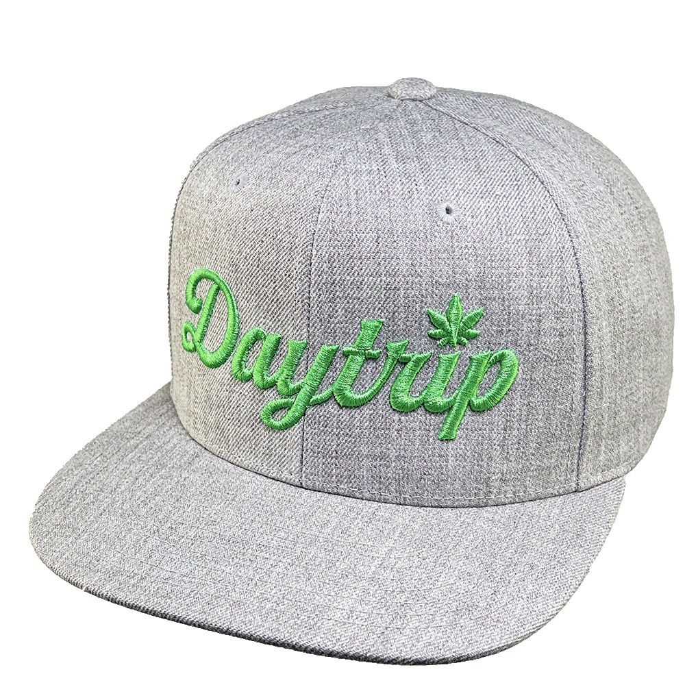 Daytrip script logo snapback hat in gray. Bright green embriodered Daytrip script logo on the front of the hat.
