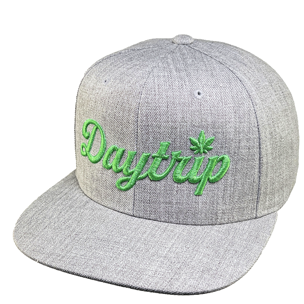 Daytrip Script Logo Snapback in heather grey with green 3D puff embroidery