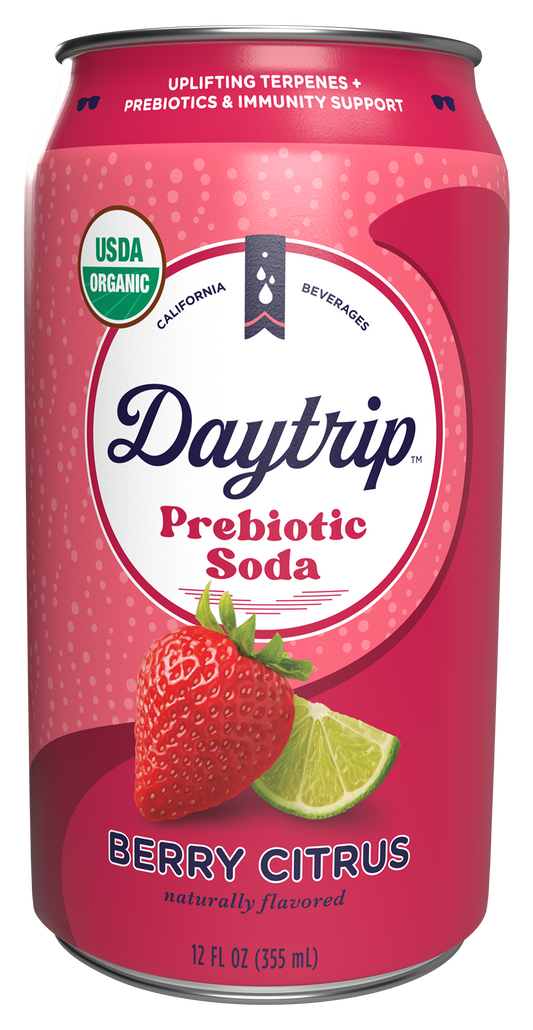 Can render of Daytrip berry citrus prebiotic soda on a white background.